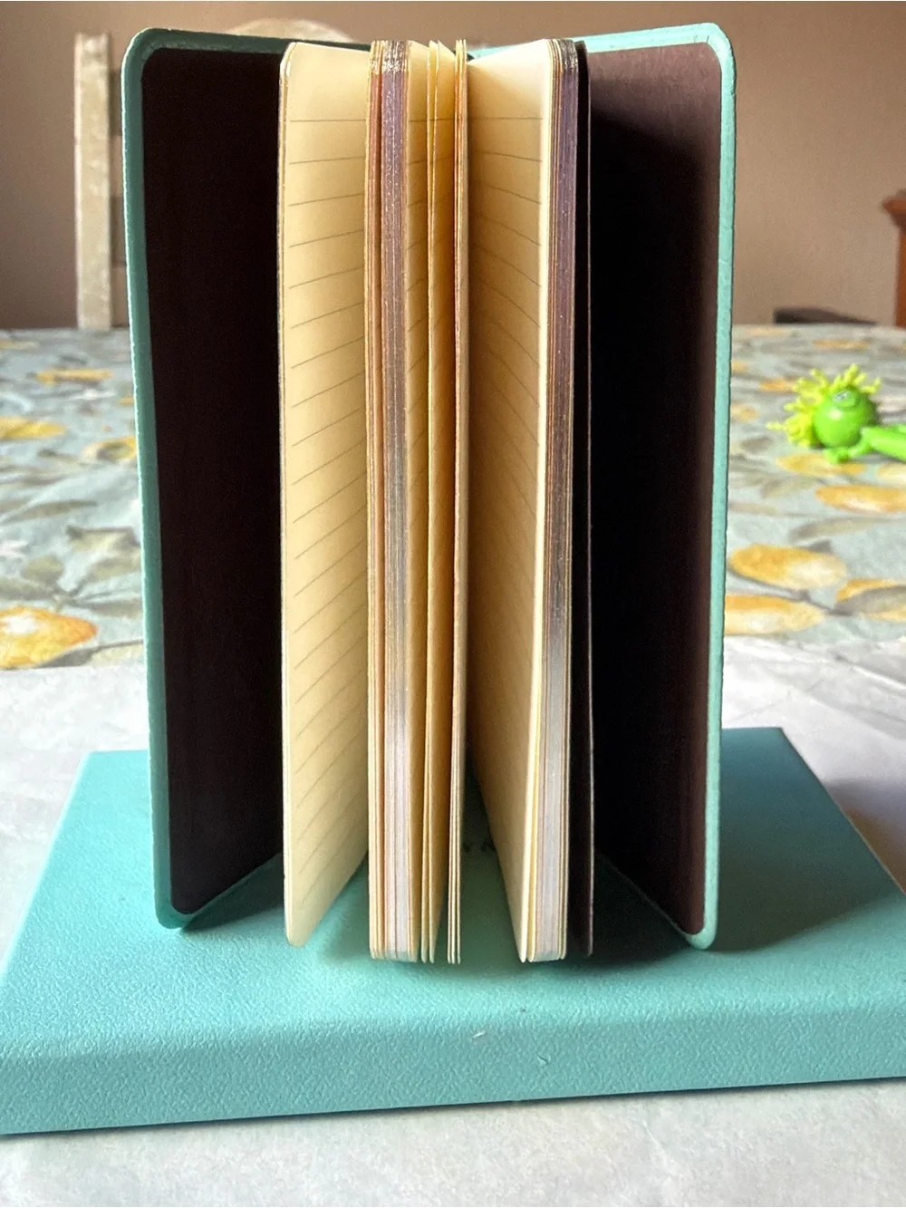 🩵📒🩵 TIFFANY & CO. POCKET JOURNAL 🩵📒🩵 NWOT 🩵📒🩵